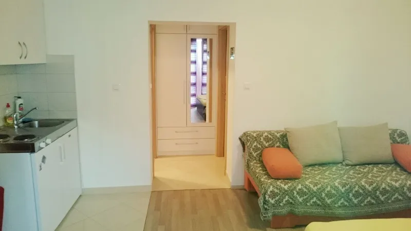 Studio-apartman rozi